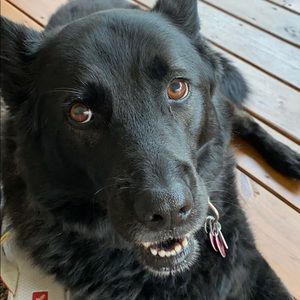 Meet your Posher, Pamela